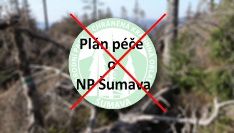 ilustrační foto ilustrační foto